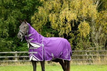 DefenceX Shield 100g Turnout Rug with Detachable Neck| Online For Equine