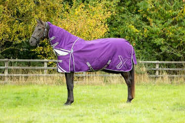 DefenceX Shield 100g Turnout Rug with Detachable Neck| Online For Equine