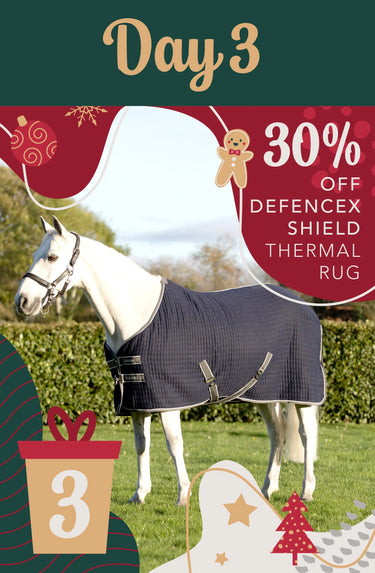 DefenceX Shield Thermal Rug| Online For Equine