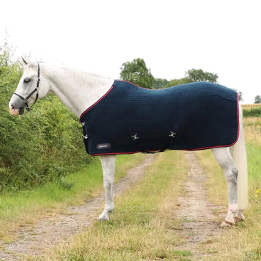DefenceX System Cool Control Rug| Online For Equine