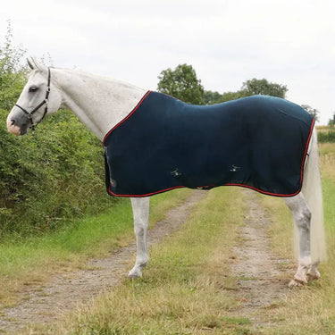 DefenceX System Cool-TeX Rug| Online For Equine