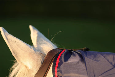 DefenceX System RainX Protect| Online For Equine