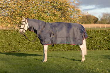 DefenceX System RainX Protect| Online For Equine