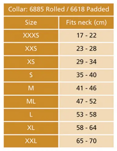 Buy Digby & Fox Aqua Padded Leather Dog Collar | Online for Equine