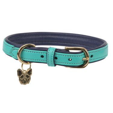 Digby & Fox Aqua Padded Leather Dog Collar| Online For Equine