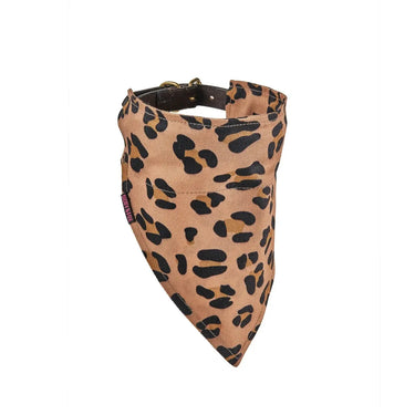 Buy Digby & Fox Bandana| Online for Equine