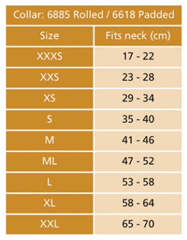 Buy Digby & Fox Aqua Padded Leather Dog Collar | Online for Equine