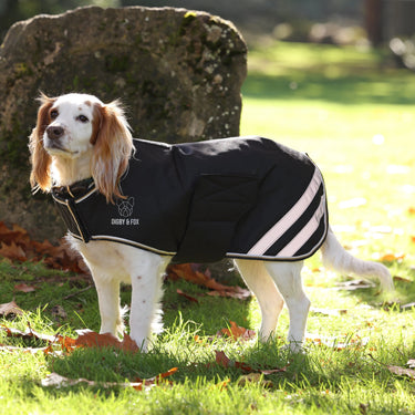 Digby & Fox Black Waterproof Dog Coat