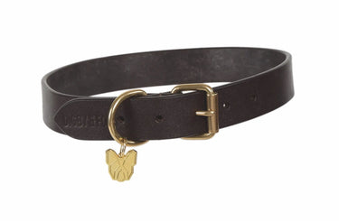 Digby & Fox Brown Flat Leather Dog Collar| Online For Equine