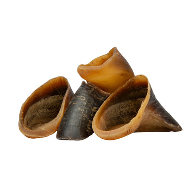 Buy Digby & Fox Buffalo Hoof | Online for Equine