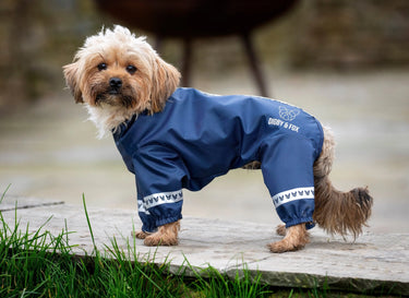 Buy Digby & Fox Cover-All Dog Coat | Online for Equine
