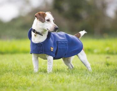 Buy Digby & Fox Dog Towel Coat| Online for Equine