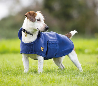 Buy Digby & Fox Dog Towel Coat| Online for Equine