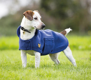 Buy Digby & Fox Dog Towel Coat| Online for Equine