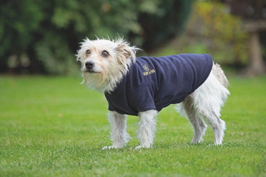 Buy Digby & Fox Fleece Dog Jumper| Online for Equine