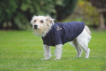 Buy Digby & Fox Fleece Dog Jumper| Online for Equine