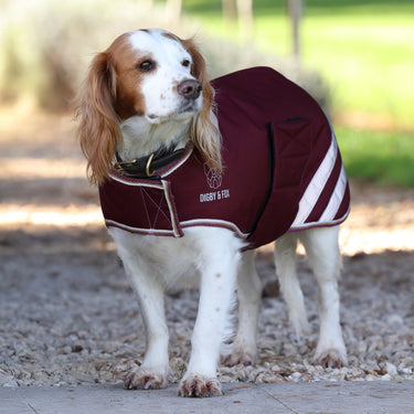 Digby & Fox Maroon Waterproof Dog Coat| Online For Equine