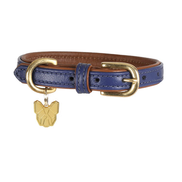 Digby & Fox Navy Padded Leather Dog Collar| Online For Equine