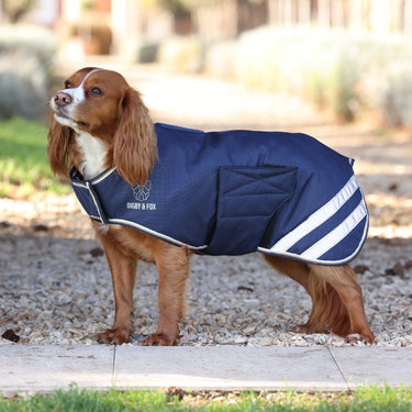 Digby & Fox Navy Waterproof Dog Coat| Online For Equine
