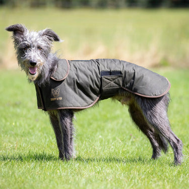 Digby & Fox Olive Wax Greyhound Coat| Online For Equine