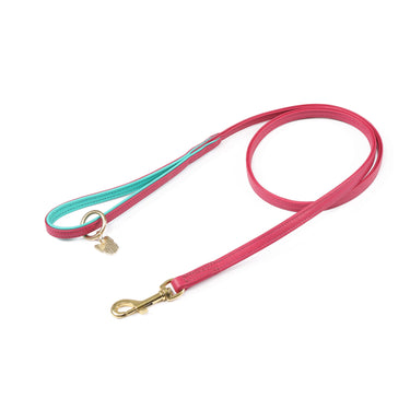 Digby & Fox Pink Padded Leather Dog Lead| Online For Equine