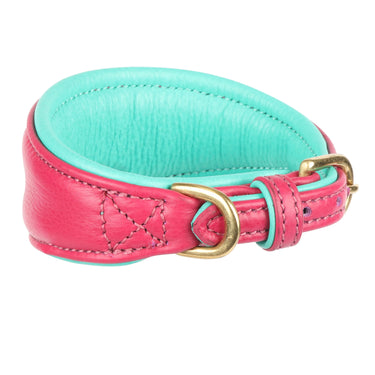 Digby & Fox Pink Padded Leather Greyhound Collar| Online For Equine