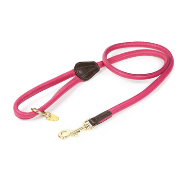 Digby & Fox Pink Rolled Leather Dog Lead