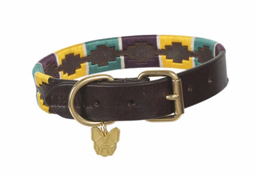 Digby & Fox Purple / Dark Green / Yellow Drover Polo Dog Collar| Online For Equine