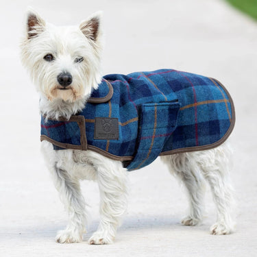 Digby & Fox Red / Yellow / Blue Tweed Tweed Dog Coat| Online For Equine