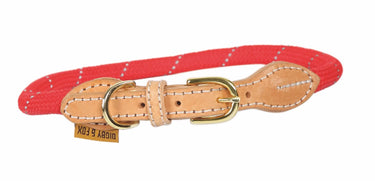 Buy Digby & Fox Reflective Dog Collar| Online for Equine