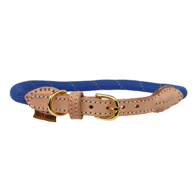 Buy Digby & Fox Reflective Dog Collar| Online for Equine