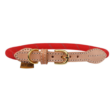 Buy Digby & Fox Reflective Dog Collar| Online for Equine