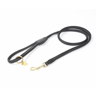 Buy Digby & Fox Rolled Leather Dog Lead | Online for Equine