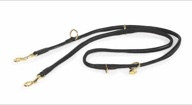 Buy Digby & Fox Rolled Leather Training Lead| Online for Equine