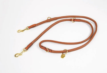 Buy Digby & Fox Rolled Leather Training Lead| Online for Equine