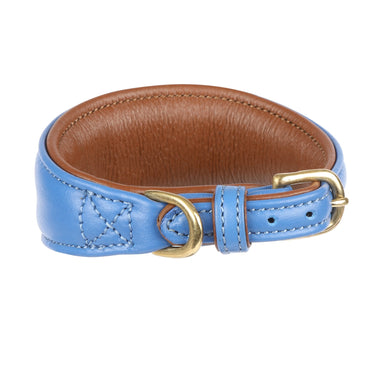 Digby & Fox Royal Padded Leather Greyhound Collar| Online For Equine