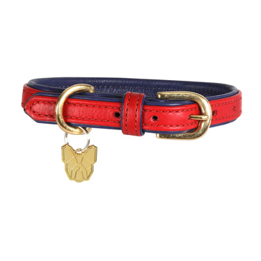 Digby & Fox Scarlett Padded Leather Dog Collar| Online For Equine