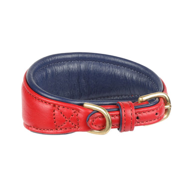 Digby & Fox Scarlett Padded Leather Greyhound Collar| Online For Equine