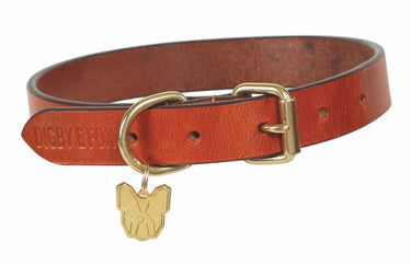 Digby & Fox Tan Flat Leather Dog Collar| Online For Equine