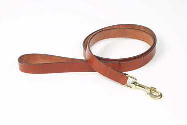 Digby & Fox Tan Flat Leather Dog Lead