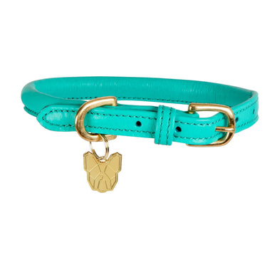Digby & Fox Teal Rolled Leather Dog Collar| Online For Equine