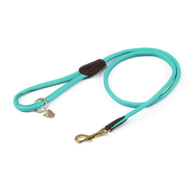 Digby & Fox Teal Rolled Leather Dog Lead| Online For Equine