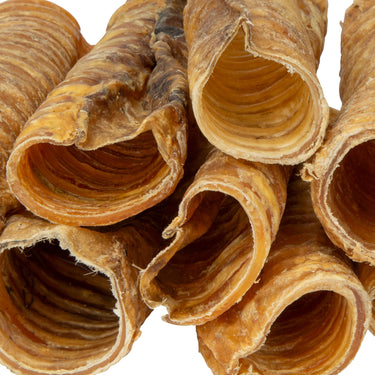 Buy Digby & Fox Trachea | Online for Equine