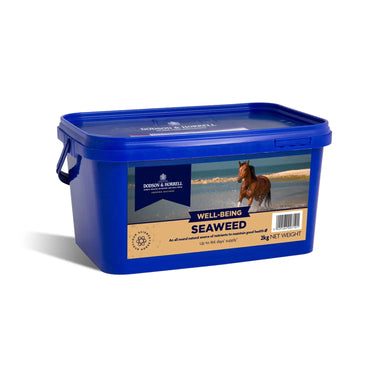 Buy Dodson & Horrell Seaweed | Online for Equine