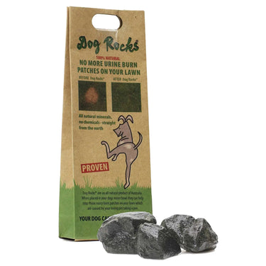 Buy Dog Rocks | Online for Equine