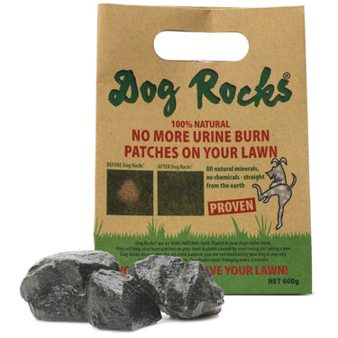 Buy Dog Rocks | Online for Equine