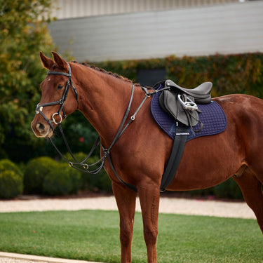 Dublin 3-Point Breastplate| Online For Equine