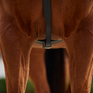 Dublin 3-Point Breastplate| Online For Equine