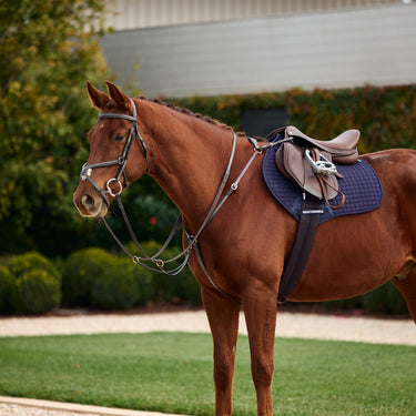 Dublin 3-Point Breastplate| Online For Equine