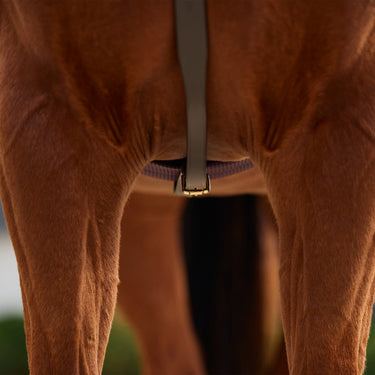 Dublin 3-Point Breastplate| Online For Equine